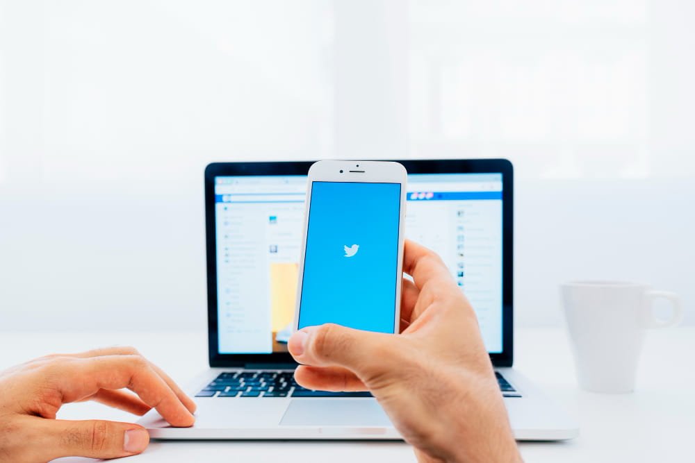 Twitter Anket Oyu Geri Alma Adımları (2026)